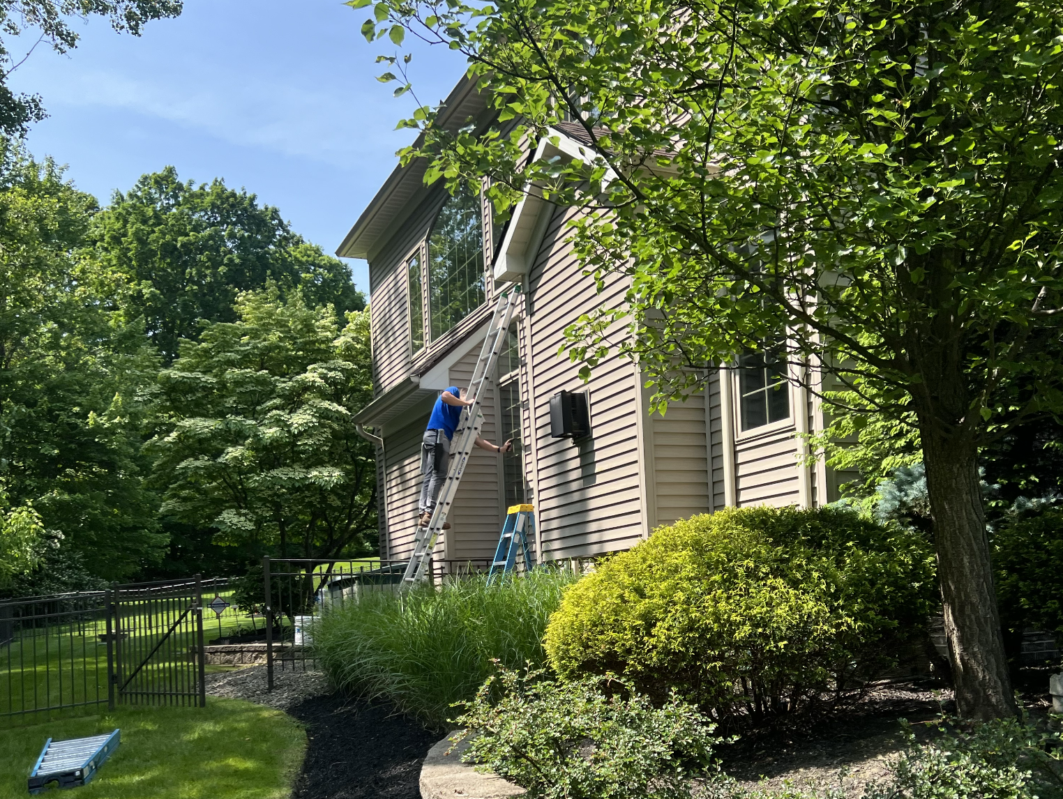 Clean residential window with natural sunlight