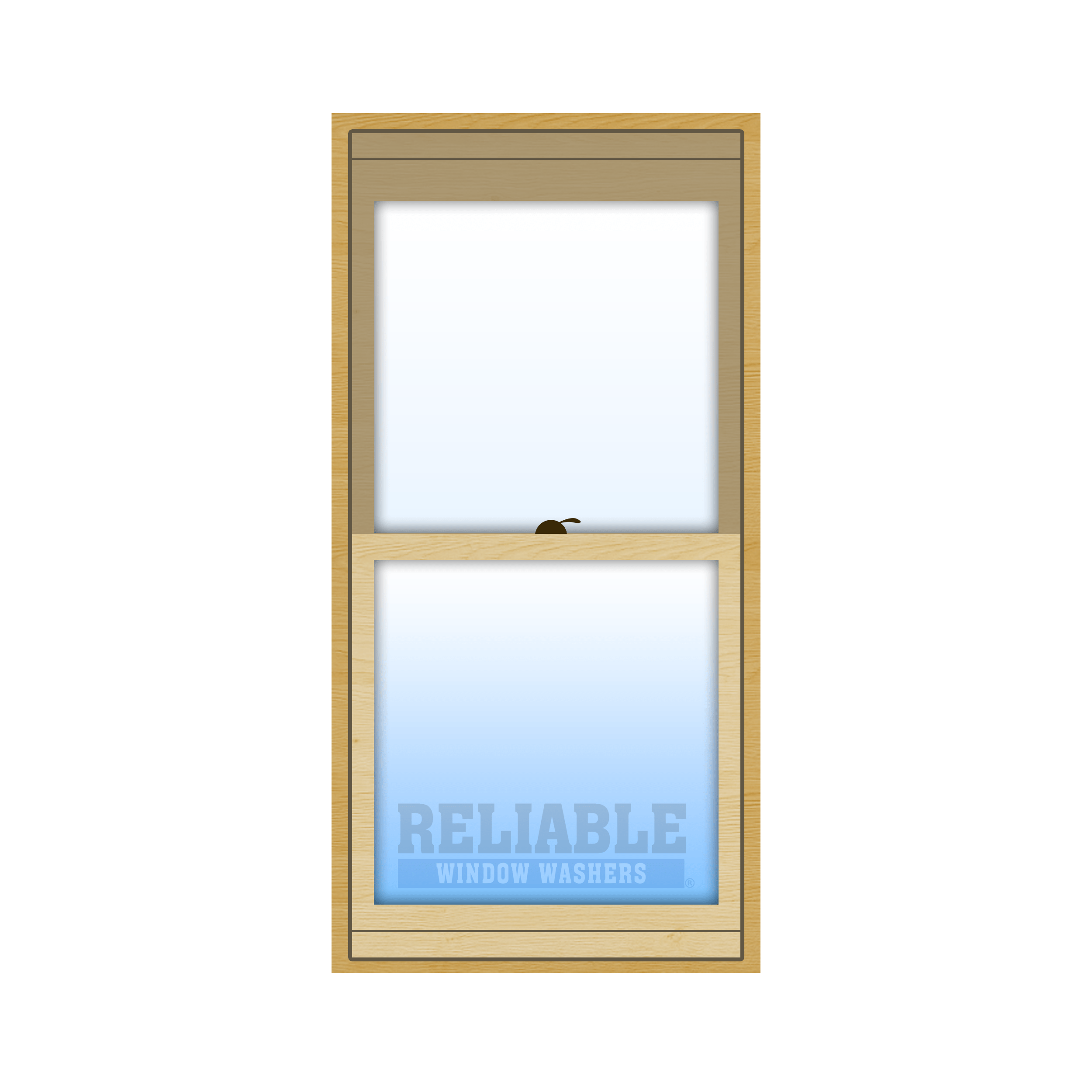 Single / Double Hung Window