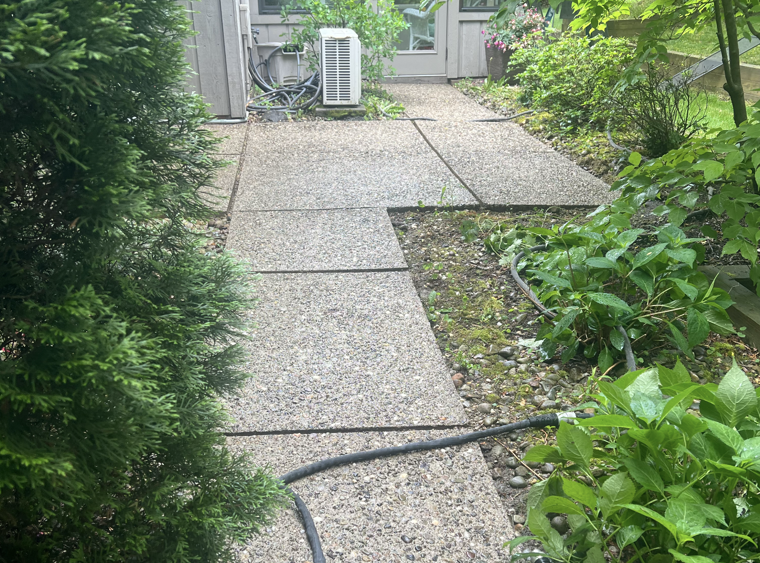 Concrete driveway after professional cleaning