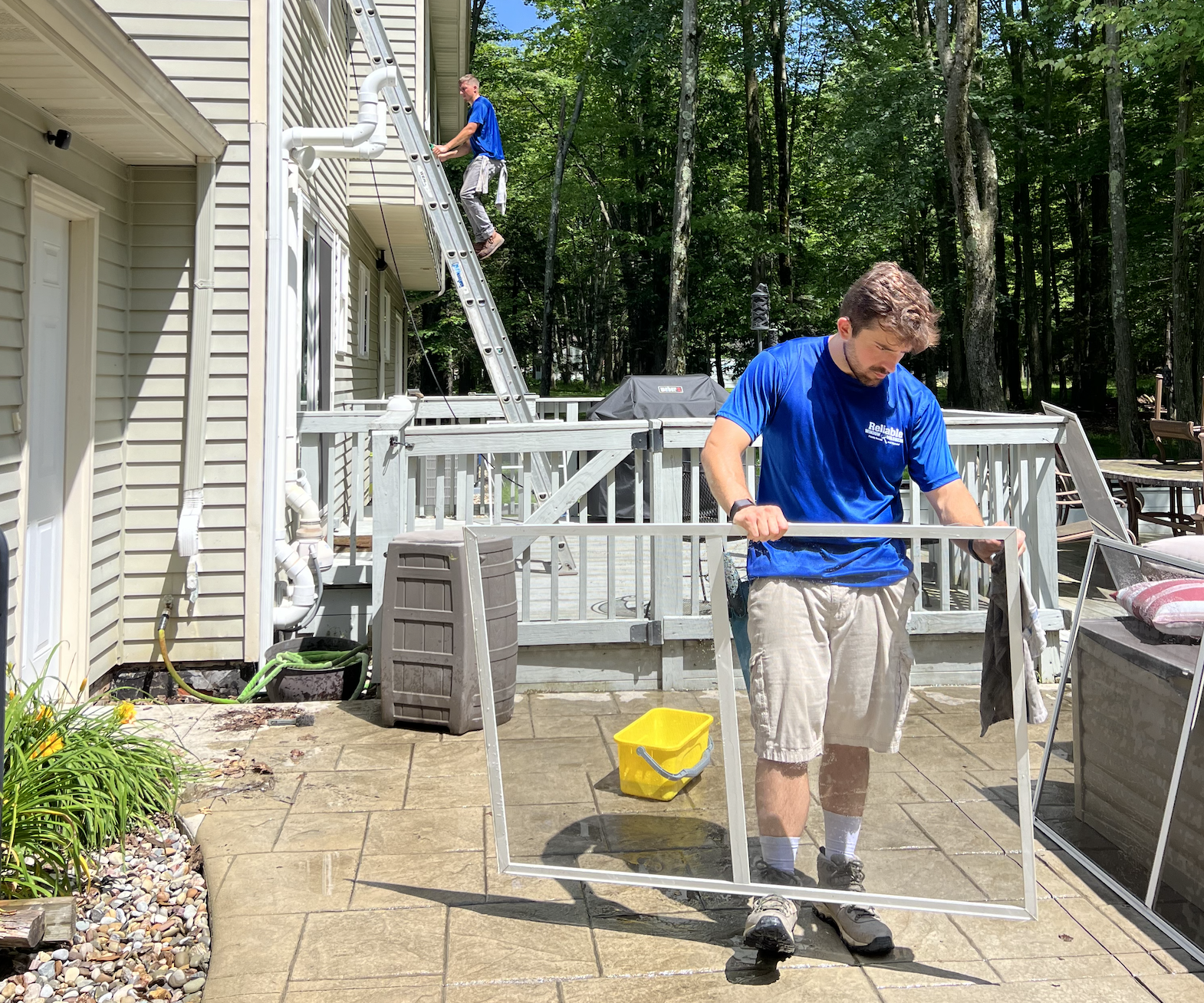 Professional window cleaning service